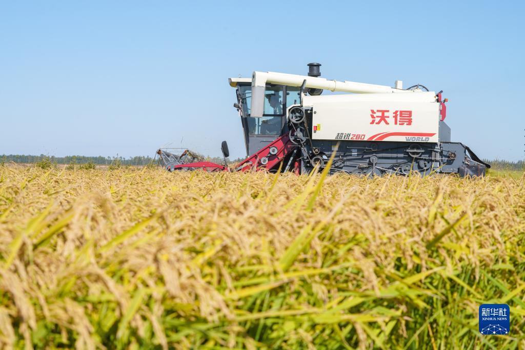 喜雅玛雅听书官网